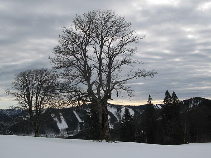 hochstadelberg